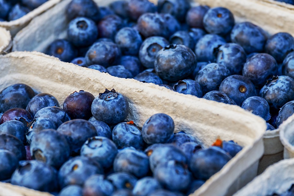 Causas de las intolerancias alimentarias